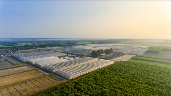 ‘Hành trình tương lai xanh’ cùng Vinmart và Vinmart+ ảnh 2